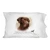 GRAPHICS & MORE Chocolate Lab Labrador Dog Breed Novelty Bedding Pillowcase