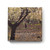Provence Sante PS Gift Soap Sweet Almond, 2.7oz 4 Bar Gift Box
