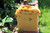 Epiphany Soaps & Blends Natural Organic Carrot Soap Set (3)