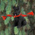 Conversation Concepts 1 X Schnauzer Miniature Dog Ornament - Uncropped - Black