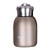 Mini Stainless Steel Vacuum Flasks Thermos Cup Coffee Tea Milk Travel Mug Thermo Bottle Thermocup Travel Water Bottles 300ml (02) Mini Stainless Steel Vacuum Flasks Thermos Cup Coffee Tea Milk Travel Mug Thermo Bottle Thermocup Travel Water Bottles 300ml (02)