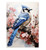 Blue Jay Print - Blue Jay Bird Wall Art Print Poster Unframed - Watercolor Blue Jay Bird Print - Bird Wall Art - Blue Jay Painting - Blue Jay Artwork Illustration (8x10)