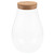 Cabilock Air Plants Air Plant Terrarium terrarium globe terrarium bottle clear glass vase orb Wood Lid: Plant House Plants