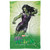 LOGOVISION She-Hulk Blanket, 36"x58" Brick Wall Fleece Blanket