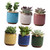 NOLITOY 6pcs Ceramic Pot for Succulent Cactus pots Mini Potted Plant Ceramics Flowerpot Cactus Planter Bulk Flower pots Bonsai Dish Small Flowerpot Succulents Container Bonsai Pot vase