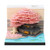 3D Memo Pads Notepad Paper Carving Non-Sticky Notes Convenience Stickers Time Piece Calendar Art Craft Gift for Christmas Housewarming Desktop Decoration (Pink Flower with Light)