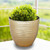 Efavormart 14" Dia Large Metallic Gold Planter, Decorative Indoor/Garden Pots for Flowers and Greenery
