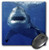 3dRose LLC 8 x 8 x 0.25 Inches Mouse Pad, Great White Shark (mp_10584_1)