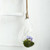 Efavormart 1PC 15" Teardrop Hanging Glass Terrarium with Rope Air Plant Terrarium Hanging Succulent Planter DIY Terrarium