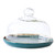 FRCOLOR Ceramic Cake Pan Cake Display Server Tray Dessert Stand Fruit Cake Fruit Stand Tray Dessert Display Stand Fruit Display Server Candy Dish Cakes Vegetable Plate Glass with Cover