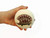 Pottery Salt Cellar, Stoneware Salt Shaker with Hand Painted Hedgehog