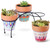 CIMAXIC 3PCS Ceramic Succulent Flower Pot Indoor Flower Plant pots Decorative Planter Pot planters Indoor Planter Pot Ceramic Flower Pot Bonsai Plant Pot Clay pots Potted Pot Household