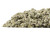 Coltsfoot Leaf c/s (1 lb)