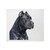 CafePress Cane Corso Throw Blanket Super Soft Fleece Plush Throw Blanket, 60"x50"