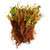 Hirts Evie Everbearing Strawberry Plants, 50 Plants Bareroot