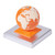 2024 Calendar Memo Pad 3D Earth Desk Calendar Notes 12 Months Scheduler Notepad Paper Art Earth Model Sculpture for Planning and Organizing Home,School,Office