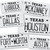 Texas License Plate Stickers - 15 TX City Options - Texas Bumper Sticker for Car - Houston Austin Dallas San Antonio Decals for Hydroflask (Austin)