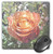 3dRose LLC 8 x 8 x 0.25 Inches Mouse Pad, Pretty Peach Rose Floral Flowers (mp_29254_1)