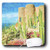 3dRose LLC 8 x 8 x 0.25 Inches Mouse Pad, Western House with Cactus (mp_39596_1)