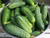 RAISE ME UP: Seeds Self-Pollinated Cucumber Grandpa's Granddaughter F1 for Pickling Non GMO Heirloom