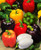 FUN AND GROW SEEDS: Seeds Pepper Bell Color Mix Non GMO Heirloom