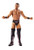 WWE The Miz Action Figure