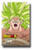 Dragon Ball Super Broly Poster Movie Promo 11 x 17 inches Broly Rage