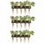 Wall Hanging Planter, 3 Tiered Plant Propagation Stations Plant Terrarium with Wooden Stand, Glass Planter Test Tube Vase for Propagating Hydroponic Plants Home Decor Wall Hanging Planter, 3 Tiered Plant Propagation Stations Plant Terrarium with Wooden Stand, Glass Planter Test Tube Vase for Propagating Hydroponic Plants Home Decor