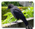 Mouse Pad - Bird Black Crow Dig Fly Carrion Crow Raven Bird