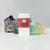 All Natural Deodorant- Frankincense 0.5oz
