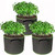 Plant Grow Bags,Pack of 3 Aeration Fabric Pots Grow Bag Plant Fabric Pots Potato Grow Bags with Handles for Vegetables,Flowers,Plants,Strawberry,Tomato,Fruits,Garden Bag Planter Pots,1 Gallon,Green