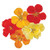 Burpee Cook's Custom Blend Nasturtium Seeds 50 seeds