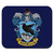 Harry Potter Ravenclaw Painted Crest Low Profile Thin Mouse Pad Mousepad Rubber Multi-Colored