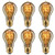 Fadimikoo Edison Bulb, Vintage Bulb 60W Dimmable A19 Squirrel Cage Filament Edison Lihgt Bulb for Home Light Fixtures Decorative, Pack of 6