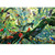 Tektalk 1000 Piece Wooden Puzzle, Puzzles for Adults 1000 Piece,Jigsaw Puzzles 1000 Pieces for Adults, Jigsaw Puzzle for Teens & Adults - Jungle Birds