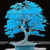 QAUZUY GARDEN 65 Rare Maple Seeds for Planting Unique Colorful Foliage Tree Long Lifespan Perennial Striking Focal Accent Plant Bonsai Premium Heirloom Tree Shrub Bush Seeds