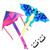 Kaidenic 2 Pack Kites Dragon Kite and Rainbow Delta Kite with Long Tails Easy to Fly with Flying Lines
