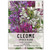 Seed Needs, Cleome Seeds - 1,500 Heirloom Seeds for Planting Cleome hassleriana - Spider Blend Attracts Butterflies, Bumblebees & Other Pollinators (1 Pack)