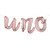Uno Birthday Decoration Balloons, Spanish Mexican 1st Birthday, First 1st Birthday, First Fiesta Decorations balloons banner,sign, cinco de mayo 1st birthday (L UNO Rose Gold)