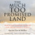 The Much Too Promised Land: America's Elusive Search for Arab-Israeli Peace