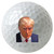 Moonlight4225 Trump Mugshot Golfball 3-Pack Printed Golf Balls