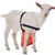 Kajaia Breeding Control Buck Goat Apron Goat Anti Mating Adjustable Orange Anti Mating Skirt Anti Breeding Sheep Goat Skirt with Adjustable Strap for Goats and Sheep (M)