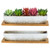 ARTKETTY Succulent Pots - 2 Pack Large Succulent Planters with Drainage Tray, 9.8 Inch Long Rectangular Planters for Indoor Plants Shallow Window Planters Ceramic Cactus Flower Plant Container