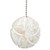 Black Forest Decor Sand Dollar Fan Pull