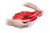Charles Viancin Red Poppy Pop Lid 11''