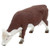 Mojo Fun Hereford Cow Grazing