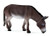 MOJO/Endless Games Inc. Donkey Grazing by Mojo