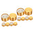 Vaguelly 12 Pcs Audio Guitar Knob Electric Guitar Knobs Guitar Volume Control Knobs Professional Potentiometer Control Knobs Bass Volume Knobs Guitar Sound Knob Major Amplifier Aluminum