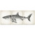 AKBOK Great White Shark Canvas Paintings Set of 3 | Nautical Ocean Art Decor | 16x20 inches | Unframed Marine Life Wall Art Prints