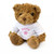 New - Sofia - Cute and Cuddly Teddy Bear - Gift Present Xmas Birthday